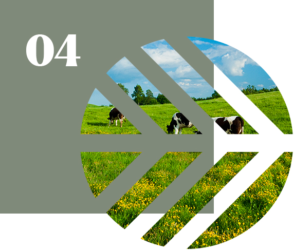 Episodio podcast 4