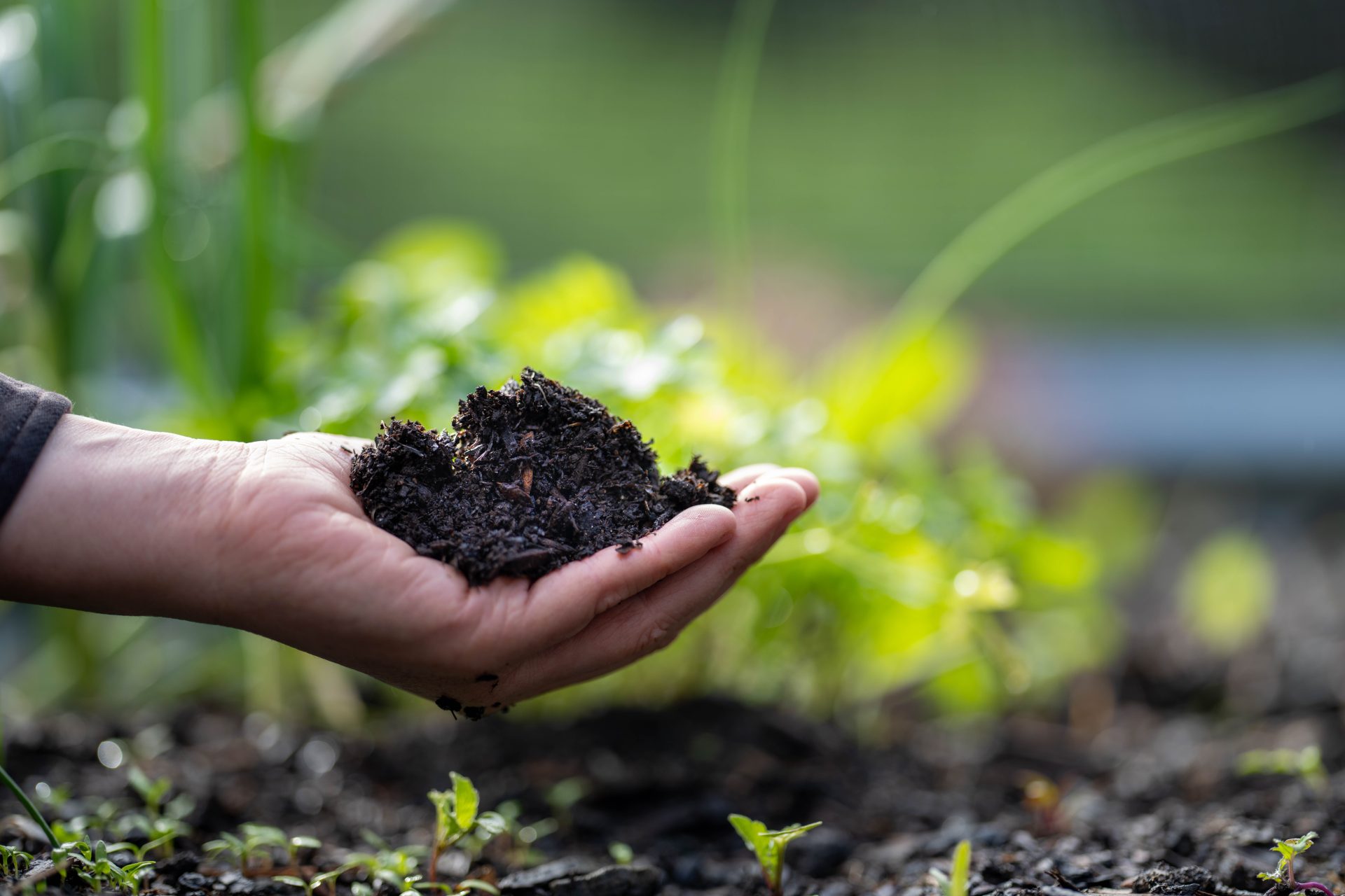 Una mano di un agricoltore in primo piano che afferra un pugno di terreno fertile
