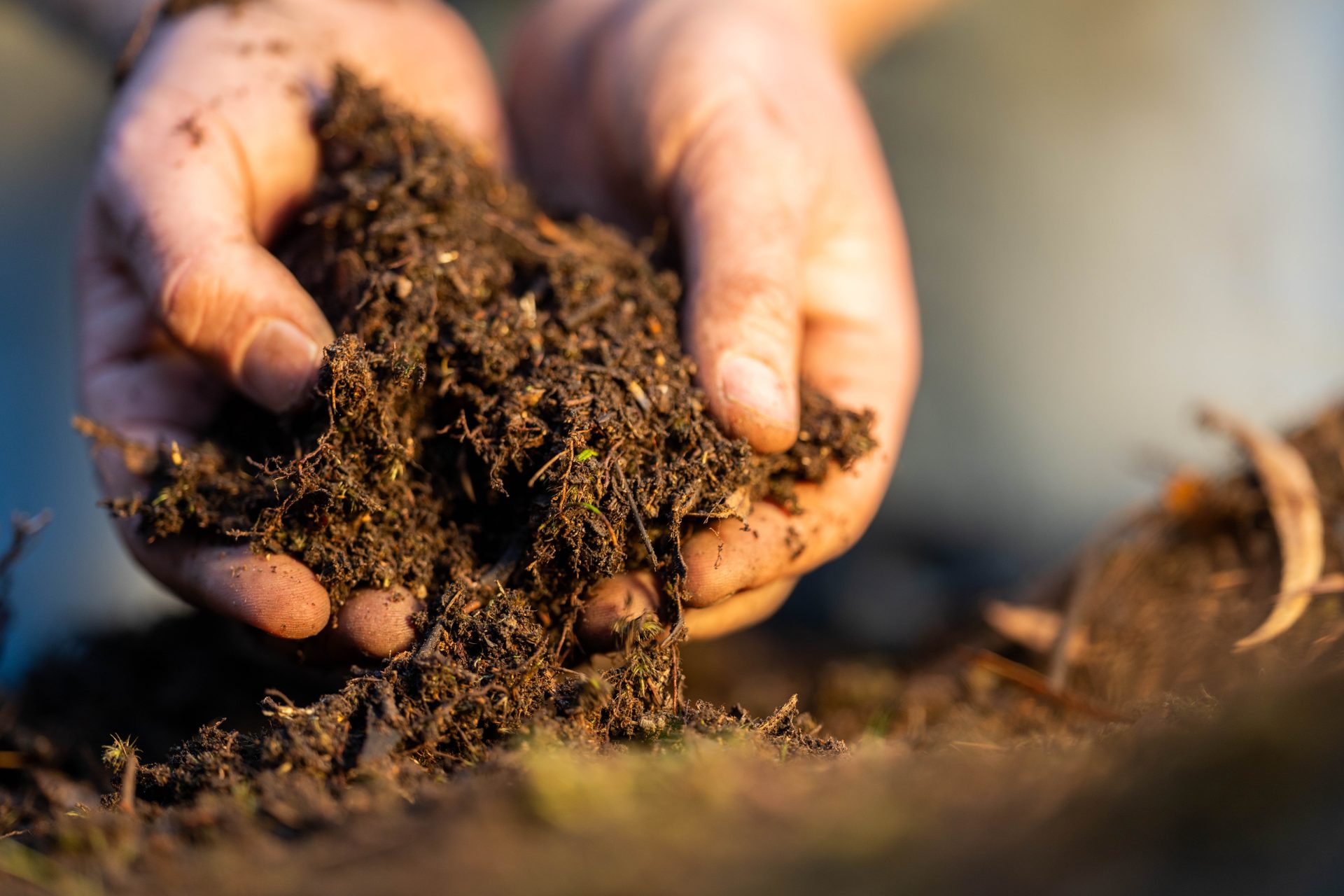 Le mani di un agricoltore afferrano una manciata di suolo ricco di sostanza organica
